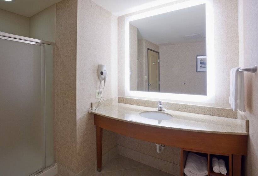 Номер Стандарт, Holiday Inn Hotel & Suites Maple Grove Northwest Minneapolis Arbor Lakes, An Ihg