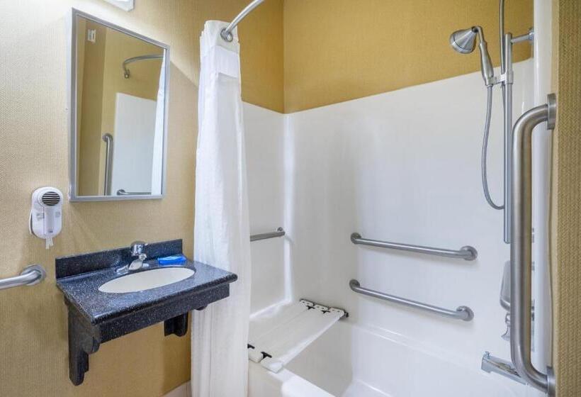 장애인을 위한 킹사이즈 침대 스탠다드 룸, Holiday Inn Express Annapolis East Kent Island, An Ihg