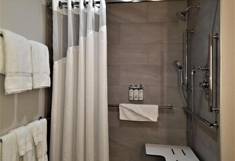 身障者適用キングサイズベッドルーム, Holiday Inn Express Apex   Raleigh, An Ihg