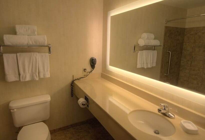 Люкс, Holiday Inn Express & Suites Sioux Center, An Ihg