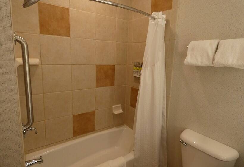 스탠다드 룸, Holiday Inn Express Hotel & Suites Limon I 70/exit 359, An Ihg