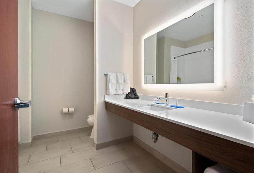 Номер Deluxe Кровать Кинг, Holiday Inn Express Suites Van Buren Ft Smith Area, An Ihg