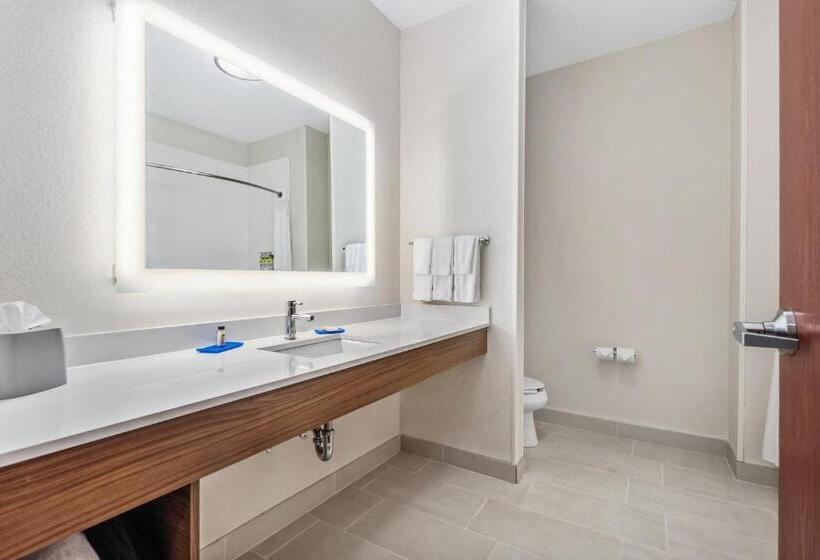 带大床的套房, Holiday Inn Express Suites Van Buren Ft Smith Area, An Ihg