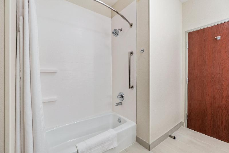 带大床的套房, Holiday Inn Express Suites Van Buren Ft Smith Area, An Ihg