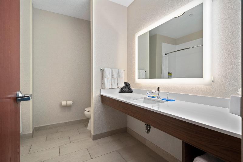 Номер Стандарт Кровать Кинг Адаптированный для Инвалидов, Holiday Inn Express Suites Van Buren Ft Smith Area, An Ihg