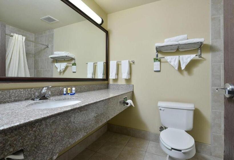 Люкс, Best Western Plus Burleson Inn & Suites