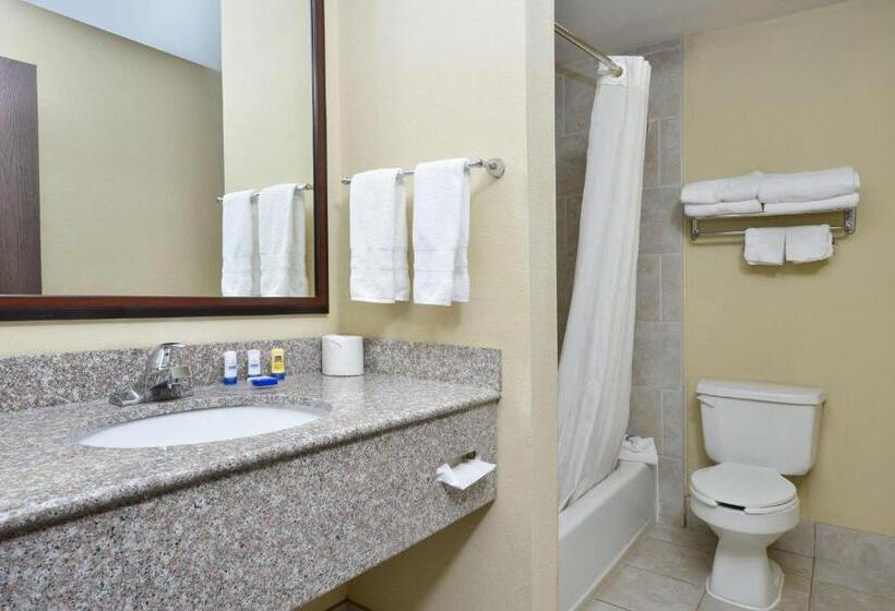 Номер Стандарт, Best Western Plus Burleson Inn & Suites