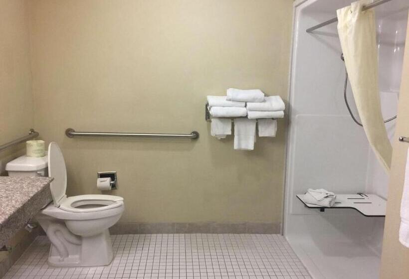 Номер Стандарт, Best Western Plus Burleson Inn & Suites