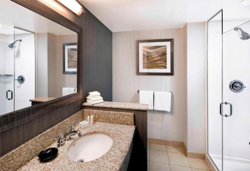 Standaardkamer met Kingsize Bed, Courtyard Indianapolis Downtown