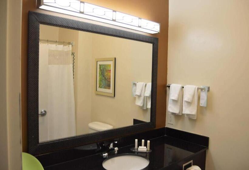 Номер Стандарт, Fairfield Inn & Suites Houston Channelview