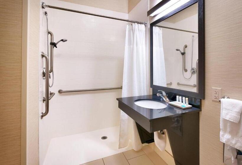 스탠다드 룸 킹사이즈 침대, Fairfield Inn & Suites Idaho Falls