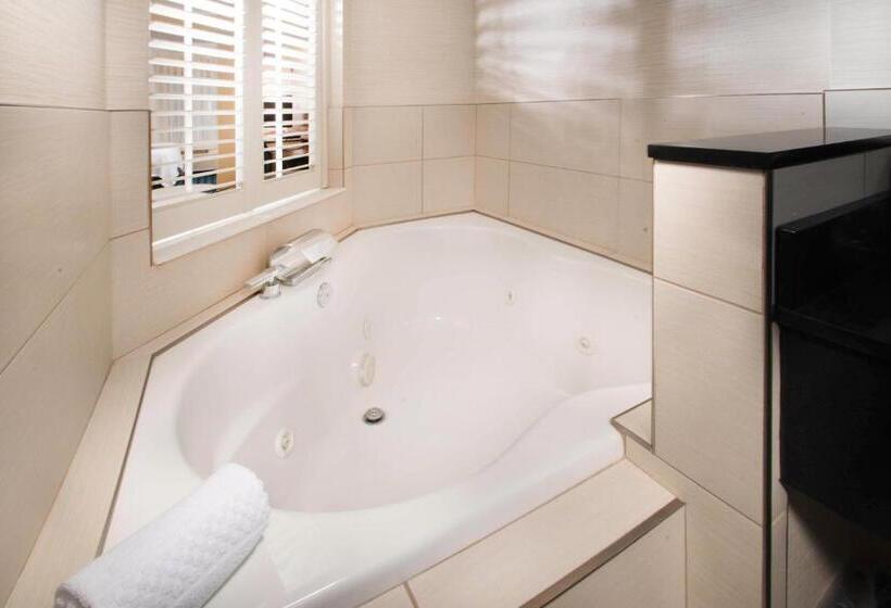 스탠다드 룸 킹사이즈 침대, Fairfield Inn & Suites Idaho Falls