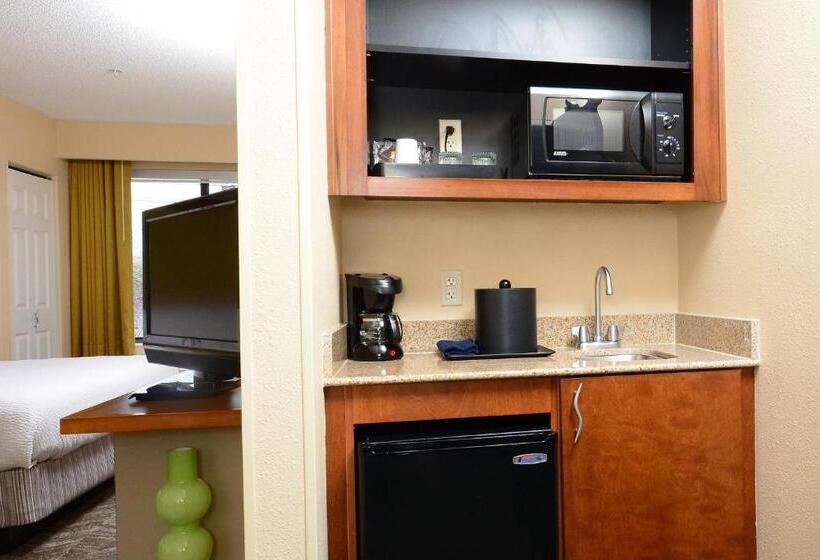 Студио Стандарт Кровать Кинг, Springhill Suites By Marriott Lynchburg Airport/university Area