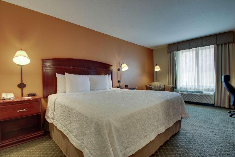 스탠다드 룸 킹사이즈 침대, Hampton Inn & Suites Denver Littleton