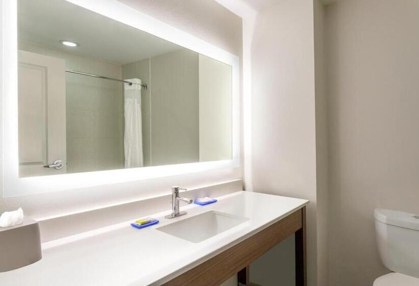 스탠다드 룸 킹사이즈 침대, Holiday Inn Express & Suites Searcy, An Ihg