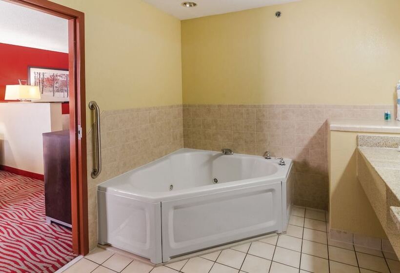 Люкс с гидромассажем, Holiday Inn Express Hotel & Suites Vinita, An Ihg
