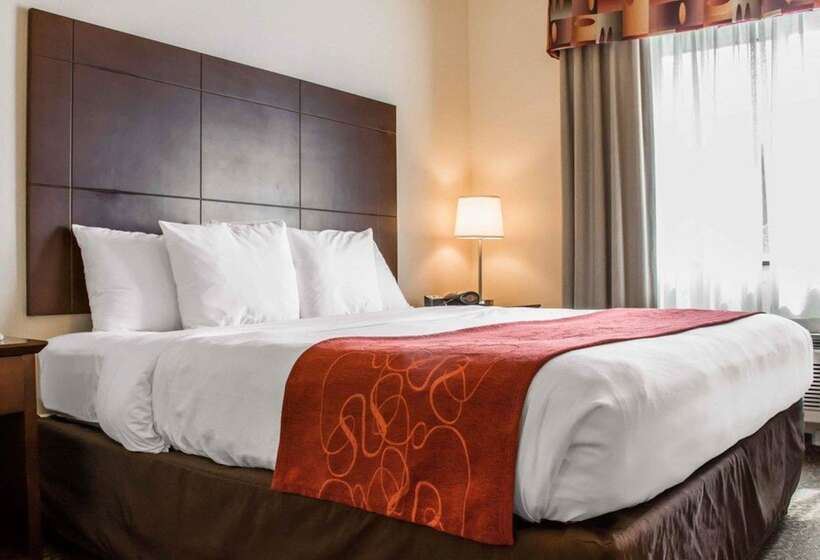 스위트, Comfort Suites Huntsville Midcity District At Research Park