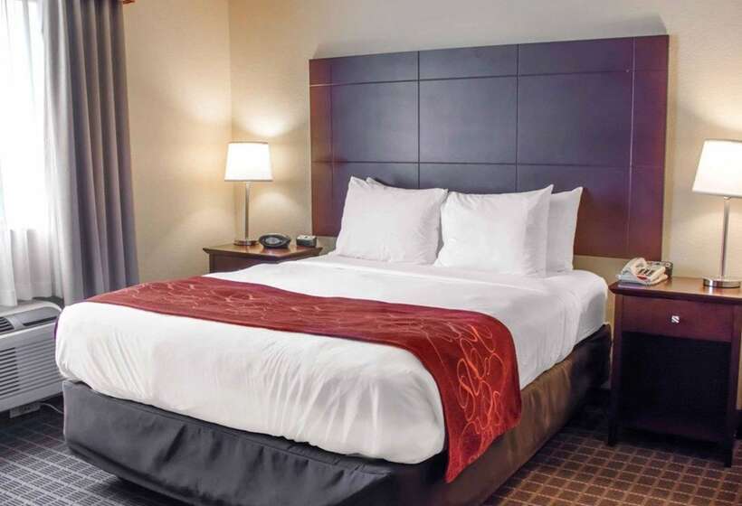 장애인을 위한 스위트, Comfort Suites Huntsville Midcity District At Research Park