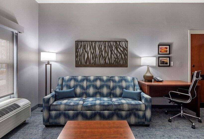 Люкс Адаптированный для Инвалидов, Comfort Suites Near Birkdale Villagehuntersville