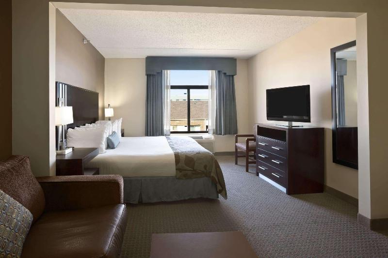 스탠다드 룸 킹사이즈 침대, Holiday Inn Express Hotel & Suites Brownfield By Ihg