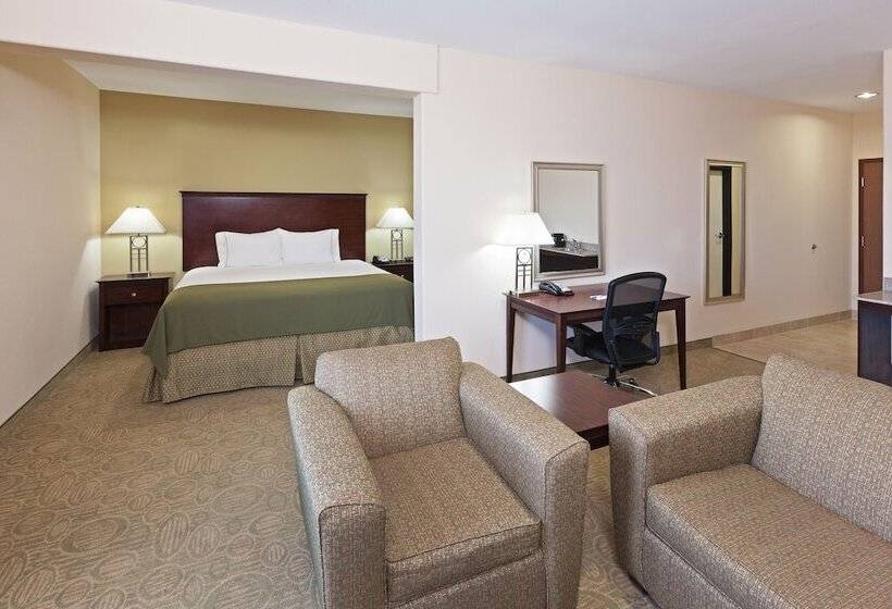 스탠다드 룸, Holiday Inn Express Hotel & Suites Brownfield By Ihg