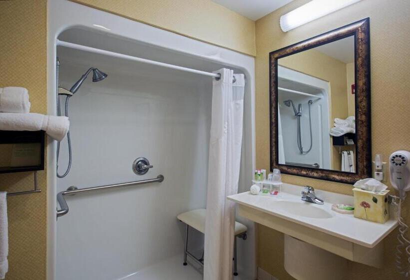 Номер Стандарт Кровать Кинг Адаптированный для Инвалидов, Holiday Inn Express Hotel & Suites Youngstown North Warren/niles, An Ihg