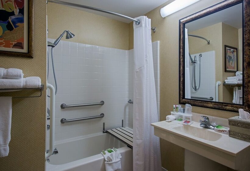 Люкс Адаптированный для Инвалидов, Holiday Inn Express Hotel & Suites Youngstown North Warren/niles, An Ihg