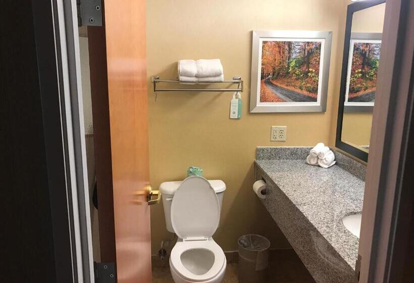 스위트 킹사이즈 침대, Best Western Plus New England Inn & Suites