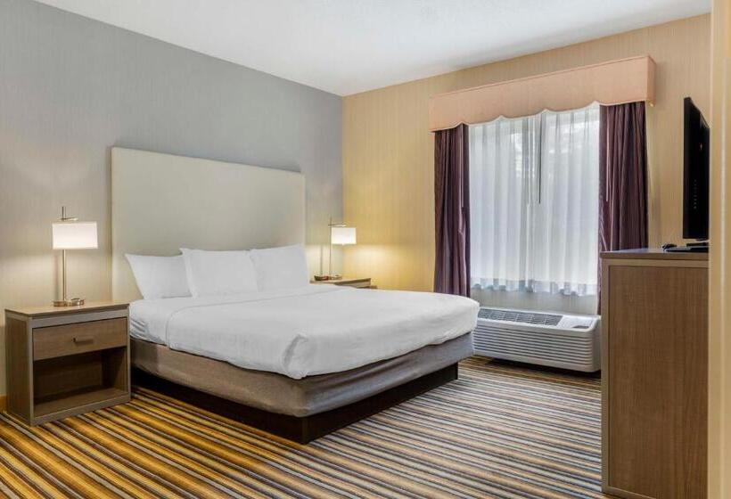 스위트 킹사이즈 침대, Best Western Plus New England Inn & Suites