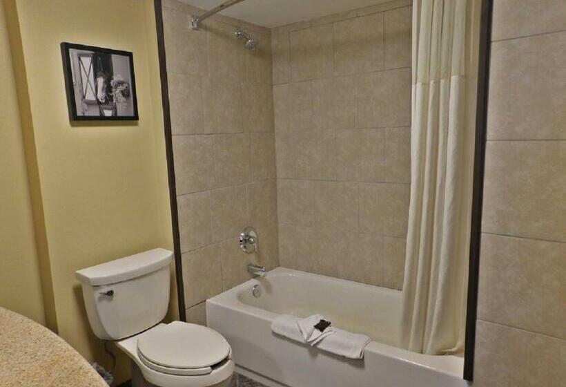 Стандартный Номер Кровать Кинг, Wingate By Wyndham Bowling Green