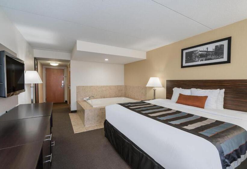 Студио Стандарт Кровать Кинг, Wingate By Wyndham Bowling Green