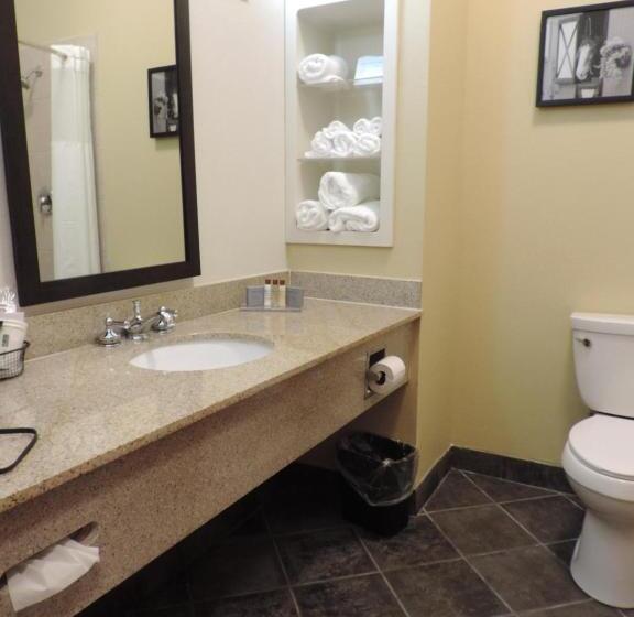 Студия Deluxe, Wingate By Wyndham Bowling Green