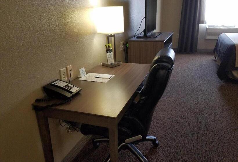 Номер Стандарт, Best Western El Quartelejo Inn & Suites