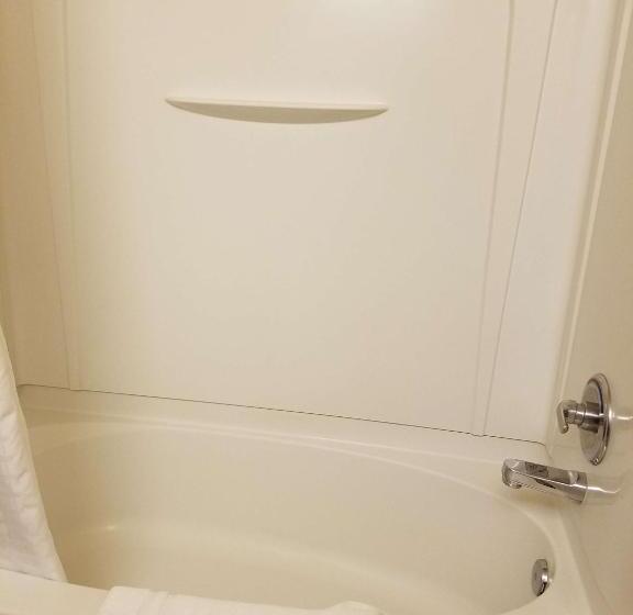 Люкс Кровать Кинг, Best Western El Quartelejo Inn & Suites