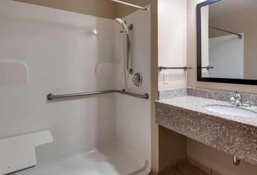 Номер Стандарт Кровать Квин Адаптированный для Инвалидов, Best Western El Quartelejo Inn & Suites
