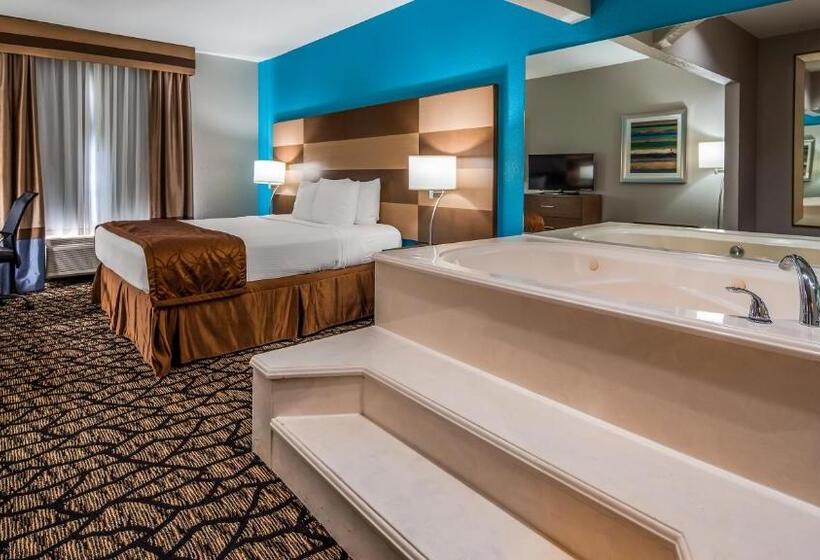 Номер Стандарт Кровать Кинг Адаптированный для Инвалидов, Best Western Executive Inn