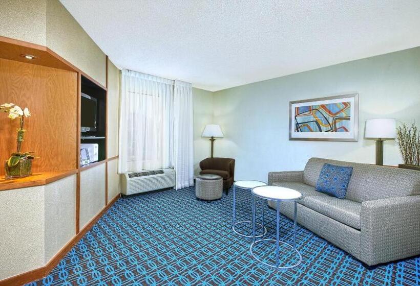 带大床的套房, Fairfield Inn & Suites By Marriott Chattanooga South East Ridge