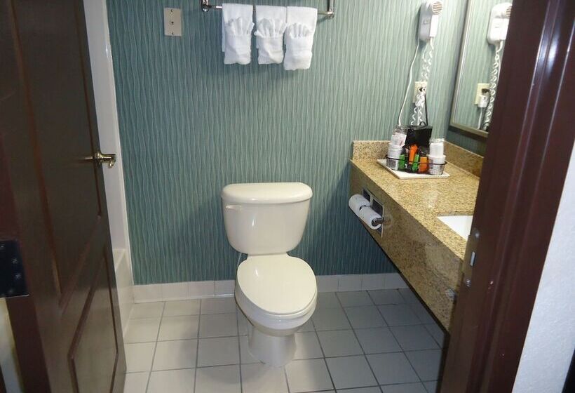 Номер Стандарт, Comfort Inn & Suites
