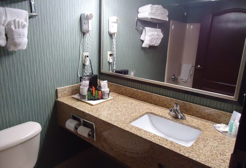 Люкс, Comfort Inn & Suites