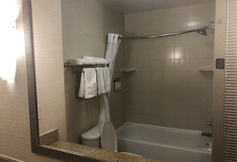 Номер Стандарт, Holiday Inn Express Hotel & Suites Lansing Dimondale, An Ihg