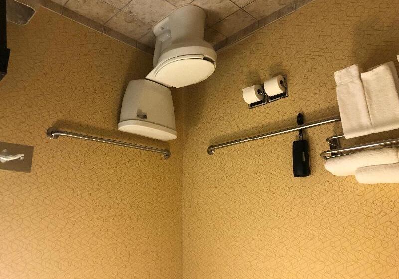 Люкс, Holiday Inn Express Hotel & Suites Lansing Dimondale, An Ihg