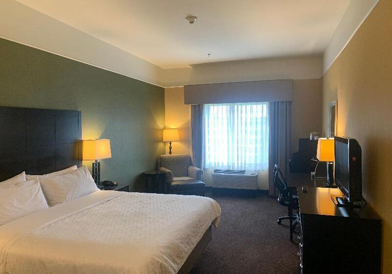 Номер Стандарт Кровать Кинг Адаптированный для Инвалидов, Holiday Inn Express Hotel & Suites Lansing Dimondale, An Ihg