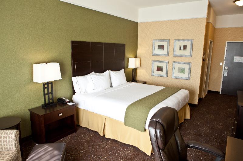 Стандартный Номер Кровать Кинг, Holiday Inn Express Hotel & Suites Lansing Dimondale, An Ihg
