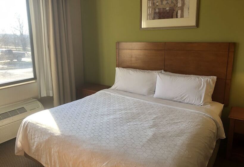 Люкс, Holiday Inn Express Hotel & Suites Lansing Dimondale, An Ihg