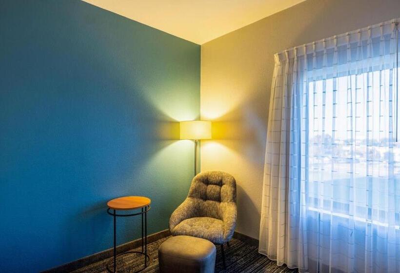 Студио Стандарт Кровать Кинг, Towneplace Suites Dallas Desoto