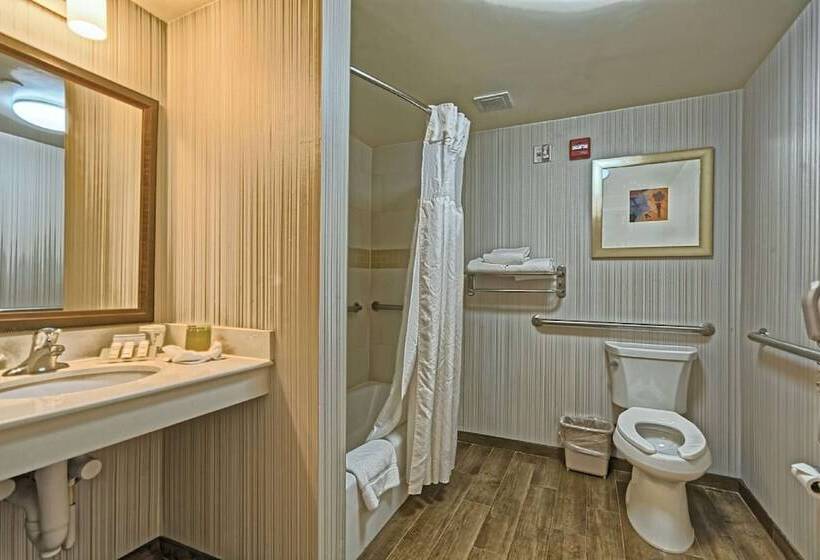 장애인을 위한 스탠다드 룸, Hilton Garden Inn Mt. Laurel
