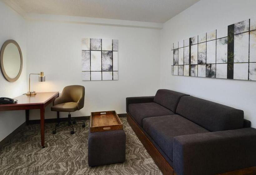Студия Стандарт, Springhill Suites Boulder Longmont