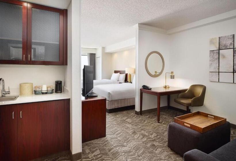 Студия Стандарт, Springhill Suites Boulder Longmont