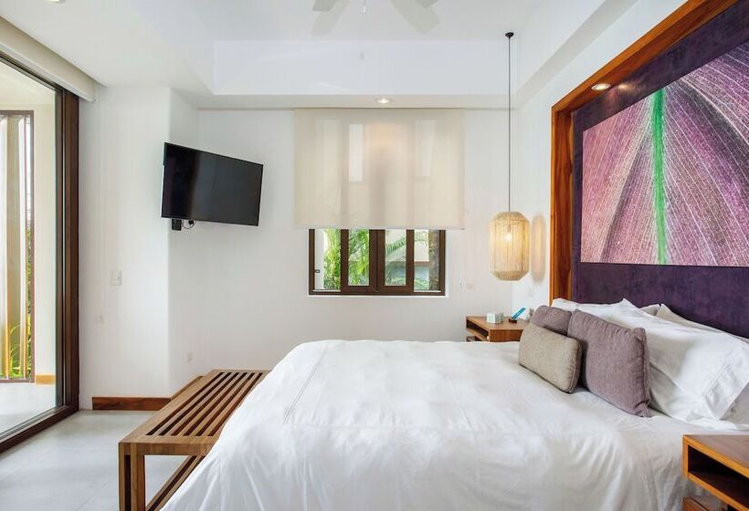 Номер Superior, Arenas Del Mar Beachfront & Rainforest Resort Member Of The Cayuga Collection