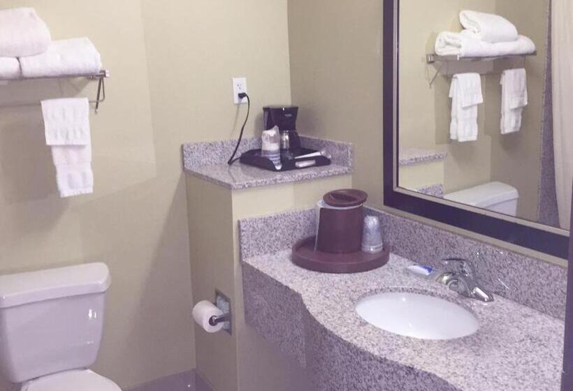 Номер Стандарт, Best Western Plus Desoto Inn & Suites